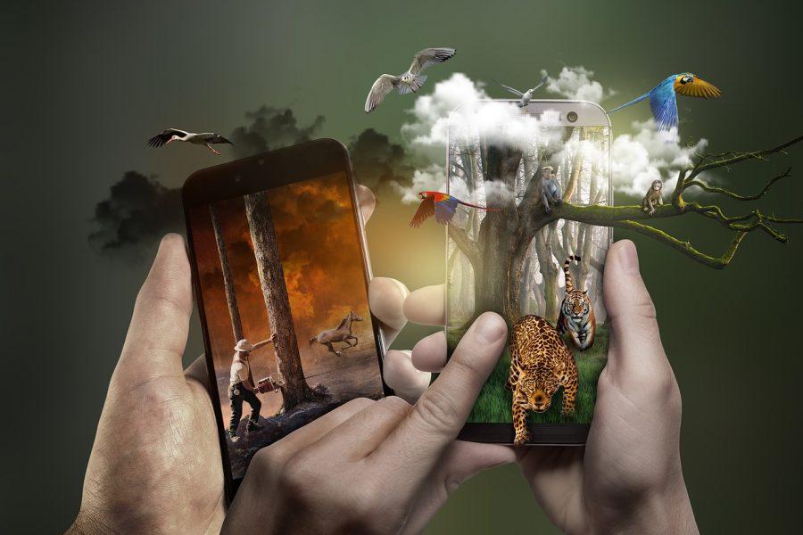 okostelefon, mobil, vadon, állatok