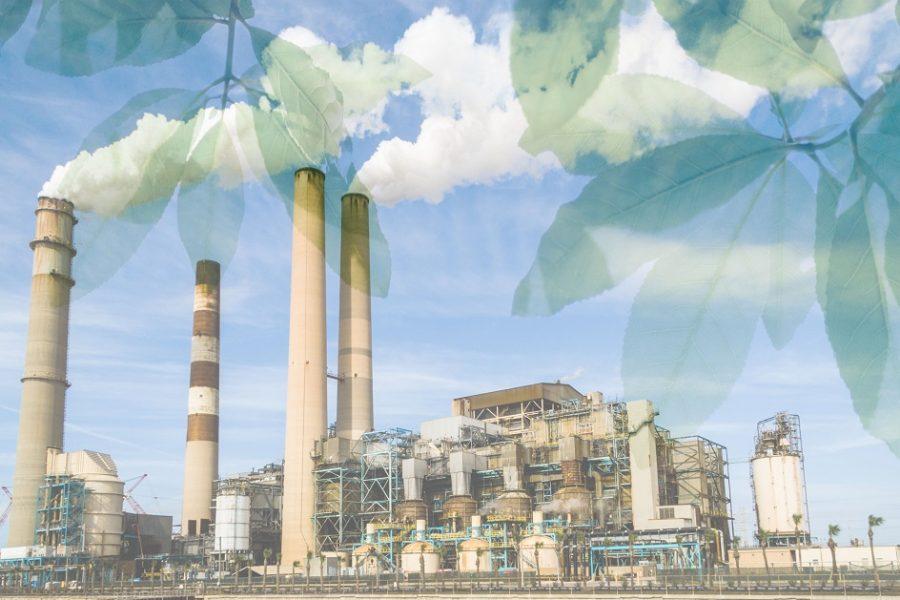 hamis zöld, gyár, hamis kommunikáció, ködösítés