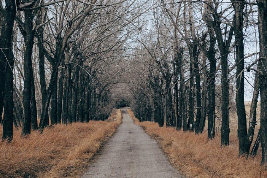 fejlesztés, régi út, vidék, kietlen