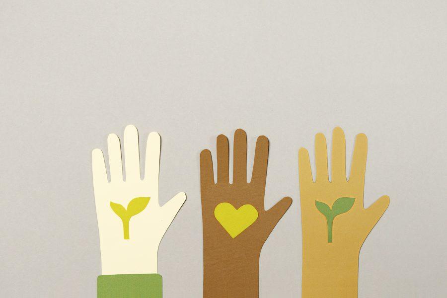 nemzetközi megoldások, környezetvédelem