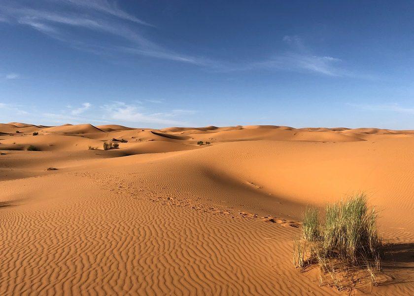 magyar sivatag, sivatag, hátság, kiszárad, száraz