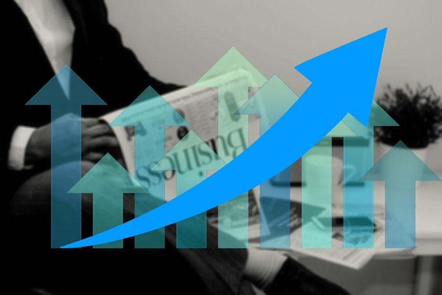 vállalkozó, vállalkozó, regisztrált vállalkozás