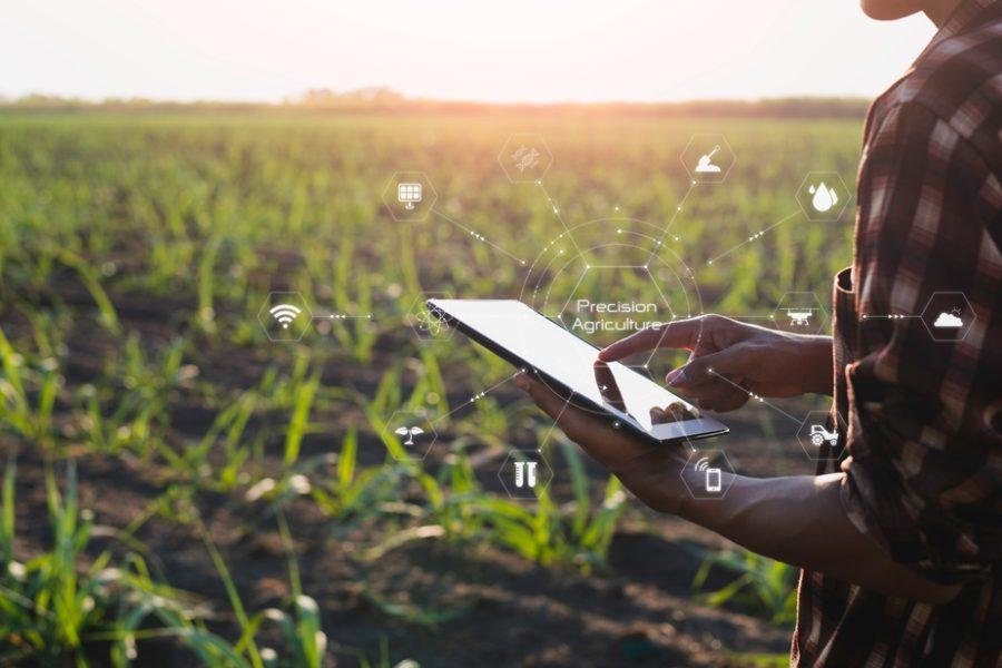 precíziós gazdálkodás, termőföld, digitális, precíziós gazdálkodási technológia