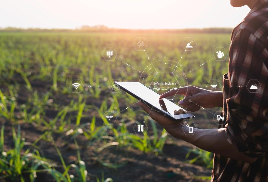 precíziós gazdálkodás, termőföld, digitális, precíziós gazdálkodási technológia